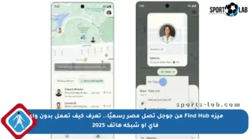ميزة Find Hub من جوجل تصل مصر رسميًا.. تعرف كيف تعمل بدون واي فاي أو شبكة هاتف 2025